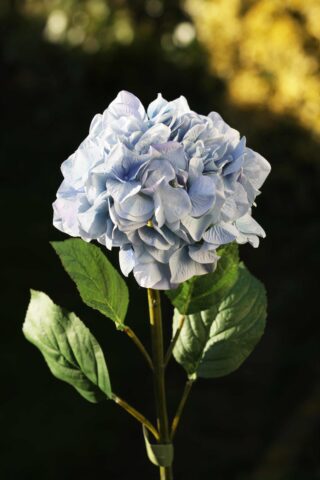 Hydrangea Pale Blue - Faux Sold out