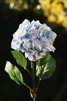 Hydrangea Pale Blue - Faux